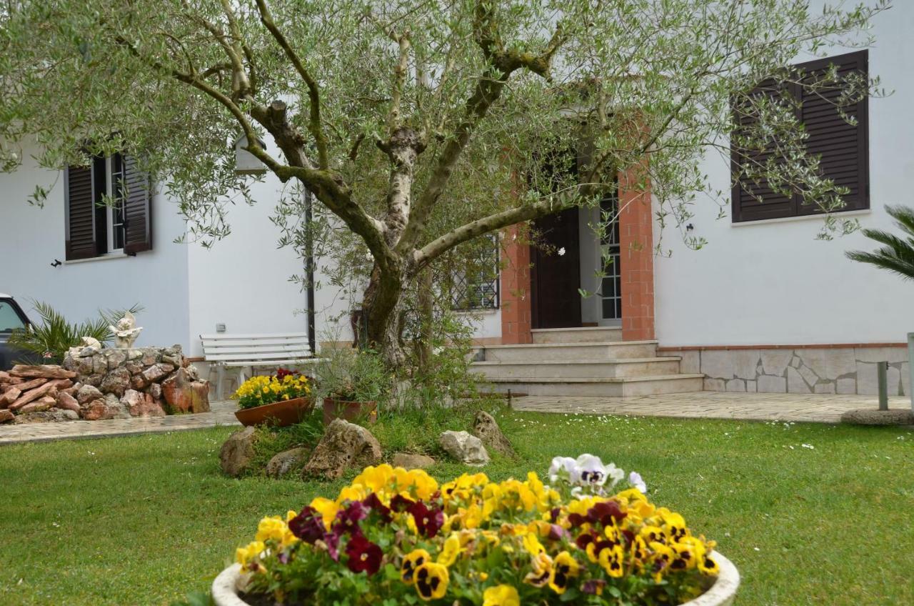 Il Grifo Hotel Sabaudia Bagian luar foto